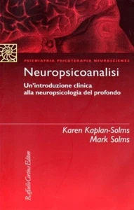 NEUROPSICOANALISI KAREN KAPLAN MARK SOLMS 2002 RAFFAELLO CORTINA (XA336) - Imagen 1 de 2