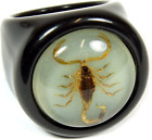 REALBUG Golden Scorpion Black Ring Size 7