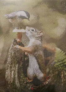 3er Set Diamond Painting Eichhörnchen-Trio 3x30x40 cm Tiere Natur Bilder - Bild 1 von 3