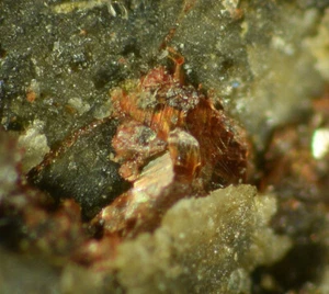 BARNESIT & GIPS aus UT, USA * TYP LOKALITÄTSPROBE * 1,6 cm - Bild 1 von 6