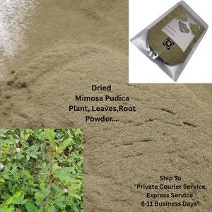 Getrocknete Mimose Pudica Pflanze Blatt & Wurzel Pulver natürliche pflanzliche Entgiftung Ergänzung - Bild 1 von 11
