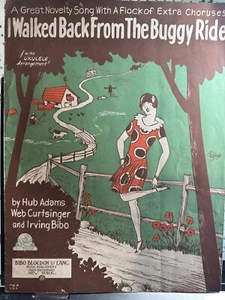 1927 IRVING BIBO novelty Sheet Music ‘I Walked Back From The Buggy Ride’ - Picture 1 of 3