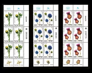 ISRAEL 1980 FLOWERING THISTLES #745-747 TAB / PLATE BLOCKS 6 MNH - Picture 1 of 1