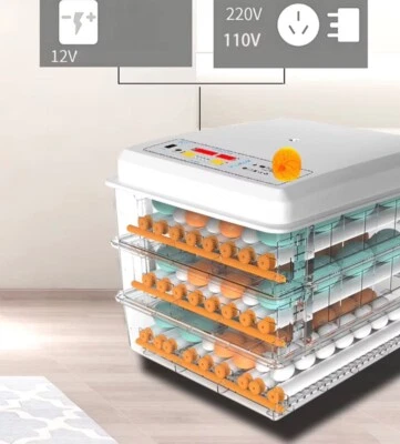 Incubadora de huevos inteligente inteligente aves aves pollo AC/DC alimentado 120 huevos capacidad Foto 1 de 4