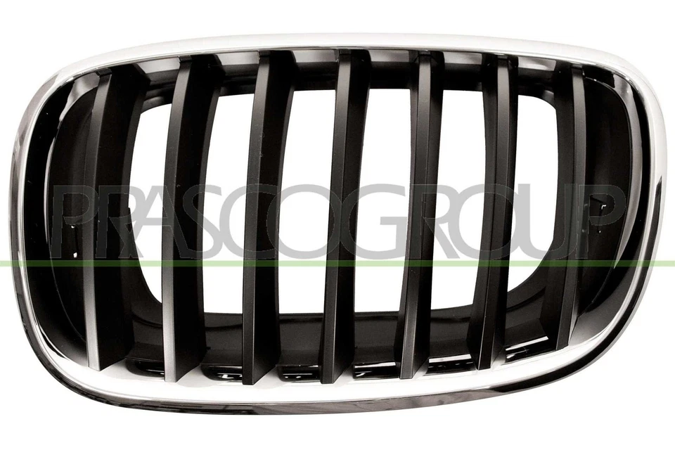 Rejilla De Radiador BM8222004 PRASCO Para BMW - Imagen 1 de 1