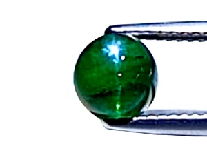 1.99cts Green natural apatite cats eye round cabochon  loose gemstones - Picture 1 of 2