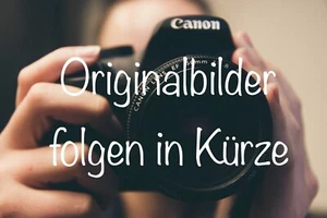 LG 34WQ500-B 34'' FHD UltraWide Monitor IPS 2560x1080 21:9 100Hz 5ms 1000:1 8Bit - Bild 1 von 1