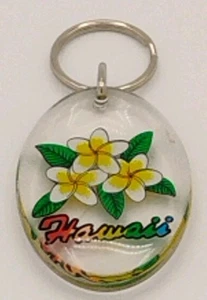Hawaii Flowers Souvenir Keychain, Keyring - Picture 1 of 3