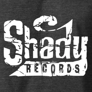 SHADY RECORDS Logo T-Shirt Slim Eminem Dr Dre D12 Hip Hop Concert Tour S-6XL Tee - Picture 1 of 14