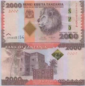 🇹🇿 TANZANIAN 2000 SHILLING BANKNOTE 2025, P-42 CIRCULATED 🇹🇿 - Picture 1 of 4