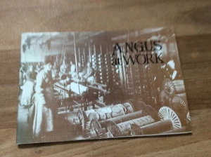 Antiguo libro ilustrado Angus At Work 1979 - Freepost Reino Unido - Imagen 1 de 12