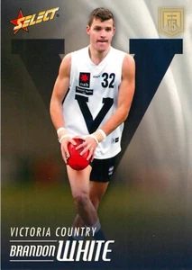 2015 St Kilda Saints AFL Select Future Force Rookie Card - Brandon White - Picture 1 of 3