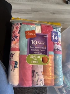 Hanes Girls' Brief Multipack - Assorted 10 Pack Tagless Size 14 #317 - Picture 1 of 1