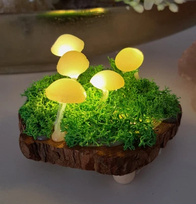 Wald Pilzlampe, Tischlampe, Pilzlicht, Nachtlicht, Dekoration Herbst, Batterie - Bild 1 von 4