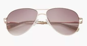 Ted Baker London 59mm Full Rim Aviator Sunglasses One Size, ROSE GOLD - Picture 1 of 4