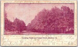 1906 Looking North On Vienna Street Ruston Louisiana LA Trees Posted Postcard