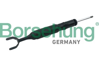 Für BORSEHUNG B12142 GAS-FILLED SHOCK ABSORBER, FRONT - Bild 1 von 4