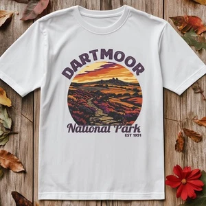 Dartmoor V4 T-Shirt Destination Premium Midweight Tee - Picture 1 of 12