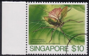 Specimen, Singapore Sc464 Insect, Scambophyllum sangiunolentum - Picture 1 of 1