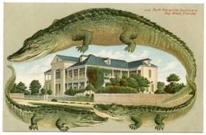Alligator Border S 512 Florida Key West Ruth Harbrove Seminary - Picture 1 of 2