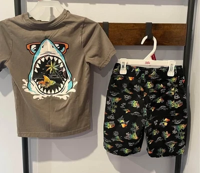 Completo T-Shirt Squalo Tropicale Stampa Grafica Set Corto Colorato Ragazzo Bambino Tg 6 - Immagine 1 di 4