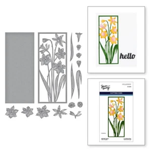 Spellbinders de Simon Hurley - Colección de fotosíntesis - Marco de narciso grabado - Imagen 1 de 1