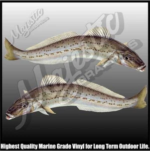 KING GEORGE WHITING- 500mm x 160mm x 2- MIRRORED PAIR - BOAT DECALS - Picture 1 of 1