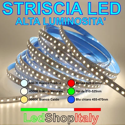 Strisce LED 24V 12W/m 120LED/m luce bianca o colore IP20 o IP65 bobine 5m o 10m - Immagine 1 di 4