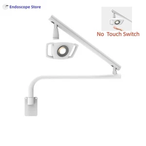 Lámpara de belleza LED médica dental examen oral luz animal hospital impuestos gratuitos - Imagen 1 de 9