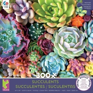 Ceaco Jigsaw Puzzle;  Succulent Synergy;  300 pieces;  #2269-3 - Picture 1 of 3