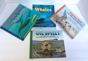 4-Soar to Success Reading Program Level 3 & 4 Houghton Mifflin Paperback Books - Picture 1 of 10