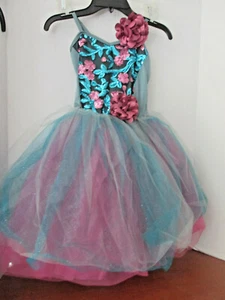 LLAMAR CORTINA ~ Azul y Rosa RECUÉRDAME DISFRAZ DE BAILE con OREJAS ~ Niño Talla Mediana - Imagen 1 de 3