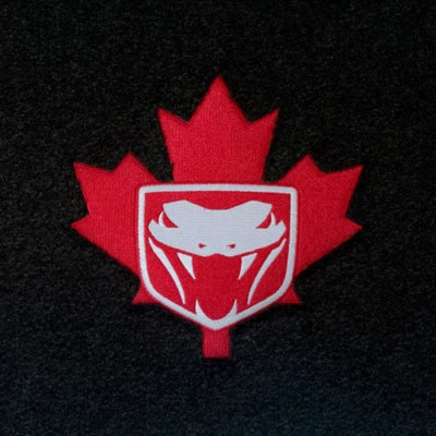 Lloyd Mats VELOURTEX 3 件套地板垫 2010 Viper SRT-10 ACR 加拿大版 — 第 1/2 张图片