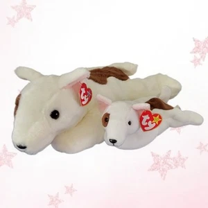 ⭐️ BUTCH ⭐️ TY Beanie BABY & BUDDY Set - MWMT'S - Imagen 1 de 5