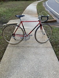 Vintage Raleigh Grand Prix road bike 56cm ready to ride! - Picture 1 of 12