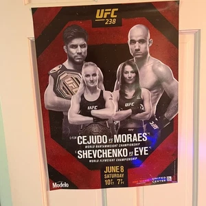 UFC 238 Cejudo v Moraes Shevchenko v Eye Promo Fight Poster 18 x 24 Modelo - Picture 1 of 4