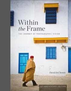 Within the Frame The Journey of Photographic Vision deChemin Paperback NEW! - Foto 1 di 1