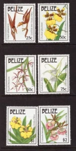 Belize 1992 Flowers Orchids set MNH mint stamps - Picture 1 of 1