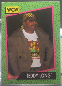 Peluche largo - 1991 Impel WCW #153 - Imagen 1 de 1
