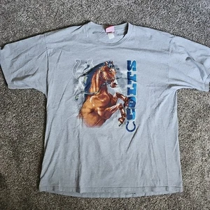 Y2K Indianapolis Colts NFL Gray Short Sleeve Size 2XL - Galloping Horse Graphic - Picture 1 of 8