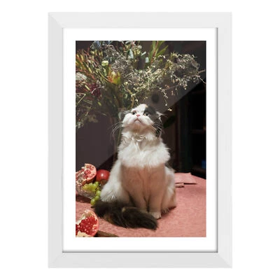 Lote de marcos de fotos de madera maciza exhibición de fotos pared galería marcos de fotos decoración del hogar Foto 1 de 4