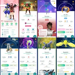 Pokémon Go lvl 46/239 Shiny/96 Legendary/SHUNDO XERNEAS/ SHINY GIGANTAMAX MACHAM - Afbeelding 1 van 18