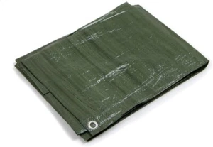 Telo Telone Occhiellato Verde Blu in Polietilene 5x5 m Impermeabile 90 gr/m² - Foto 1 di 7