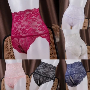 Womens Briefs Underwear Glossy High Stretch Lace Mesh See Through Sexy Briefs - Picture 1 of 21