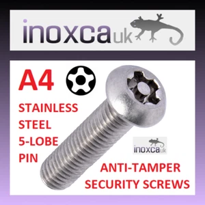 PERNO TORX PENTALOBE 5 LOBI VITE ACCIAIO INOX TESTA PULSANTE METRICO A4 316 + BIT - Foto 1 di 7
