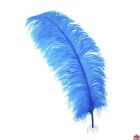 1 Turquoise Ostrich Feather 23-28" Full Wing Plumes; Bridal/Wedding/Centerpiece