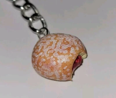 Llavero Jelly Donut Snack Desayuno Relleno Donut Jalea en Polvo Foto 1 de 4