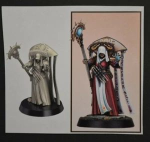 Warhammer Quest: Cursed City Cleona Zeitengale Warrior Priest Hero **NoS** - Picture 1 of 2