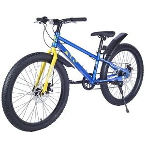 24 Inch Fat Tire Bike Adult/Youth Mountain 7 Speeds Kids Teen Student Men Women - Picture 1 of 33