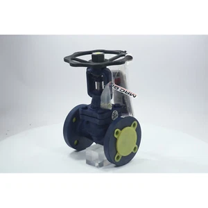 Mrc Global 1000334535 Globe Valve DN40 PN16 New NMP - Bild 1 von 12
